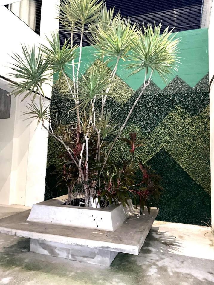 Apartamento Estudio Veranto Playa del Carmen